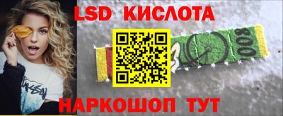 spice Славгород
