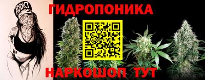 ешки Славянск-на-Кубани
