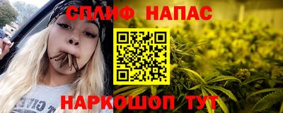 spice Славгород
