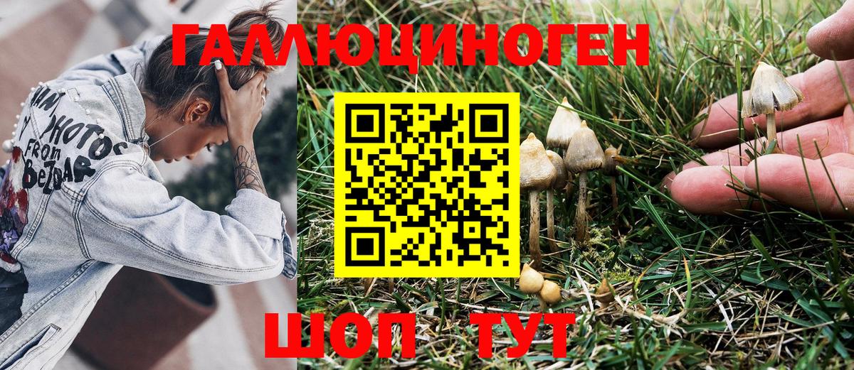 Кулебаки  Псилоцибиновые грибы мицелий  Вход с VPN 